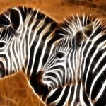 Photoshop Generative Fill